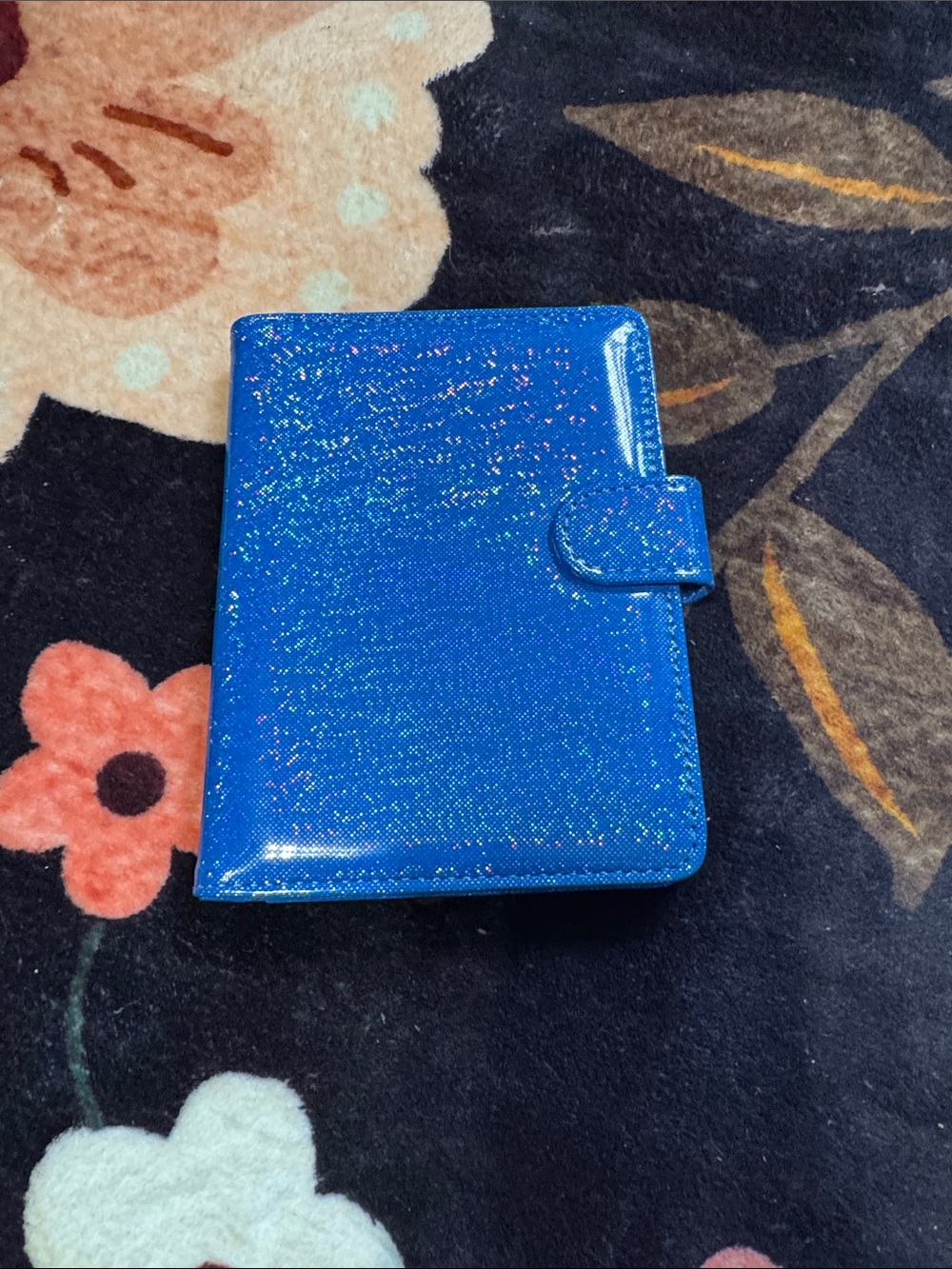 Sparkling Blue Passport Holder